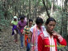 DIET Lecturers & Trainees during trekking to Nokrek Biosphere Reserve